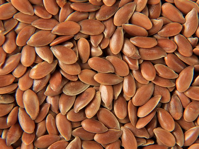 Flax Seeds